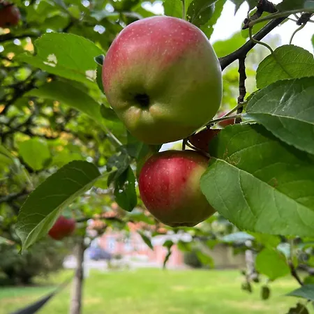 Villaranum Holiday home Ranum